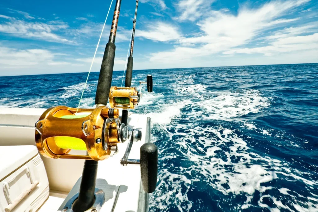 costaricafishingcompany.com